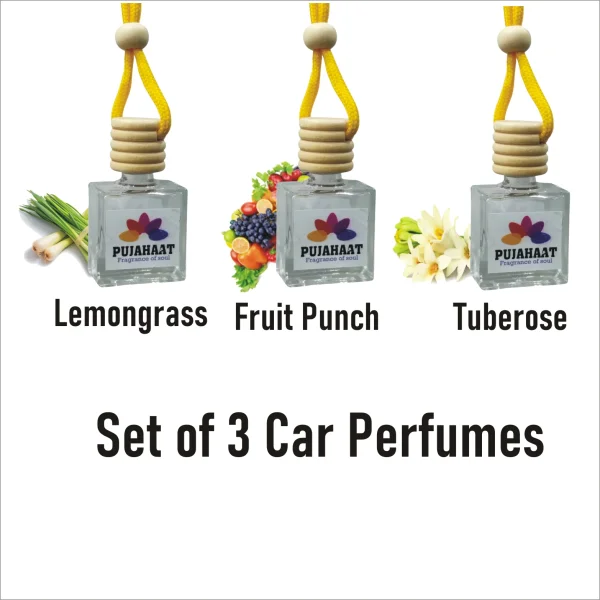 Pujahaat Car Perfume 3 pcs Combo Hanging Pod 10ml Premium Fragrance