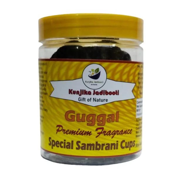 Guggal Organic Havan Cups/Sambrani Cups by Pujahaat